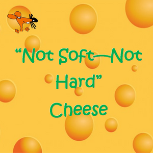 Cheese - Not Soft and Not Hard